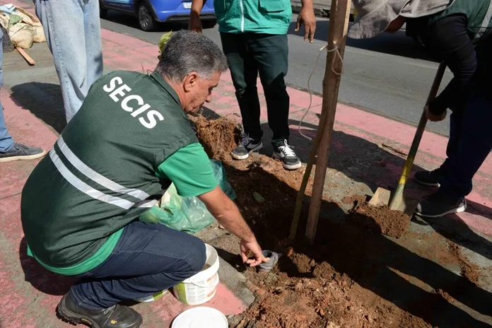 Foto: Otávio Santos