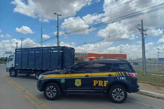 PRF realiza operação de retirada de animais soltos na BR-407 no norte da Bahia